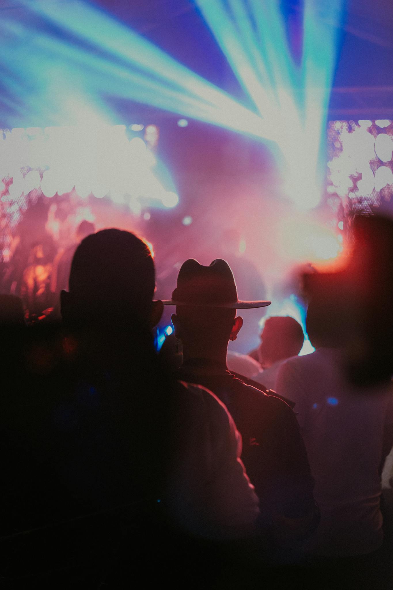 Silhouetted crowd enjoying a vibrant nighttime concert with dynamic lights.
